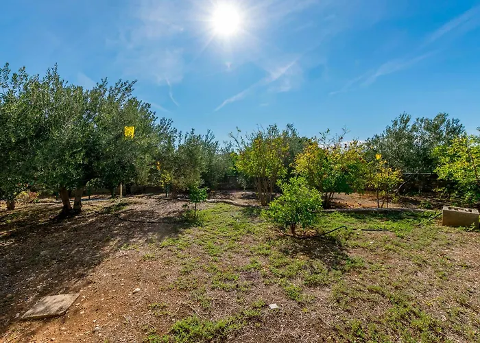 Apartamento Beachfront Lozica